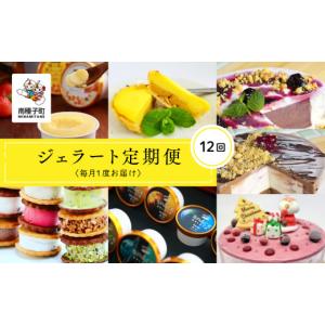 ふるさと納税 アイス・ヨーグルト ジェラート 鹿児島県 南種子町 ジェラート定期便12回