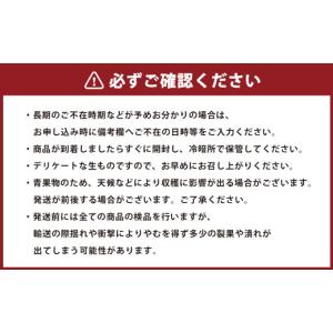 ふるさと納税 果物の詰合せ 熊本県 - 年6回...の詳細画像3