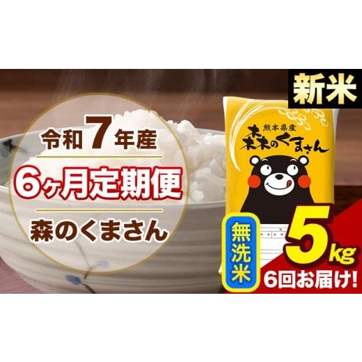 ふるさと納税 無洗米 熊本県 荒尾市  6ヶ月定期便 令和7年産 新米 森のくまさん 無洗米 5kg...
