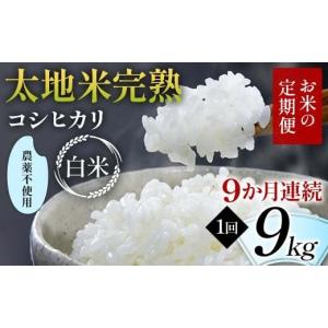 ふるさと納税 米 コシヒカリ 福島県 須賀川市...の詳細画像1