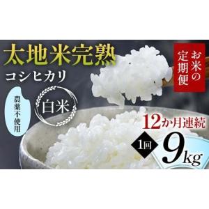 ふるさと納税 米 コシヒカリ 福島県 須賀川市...の詳細画像1