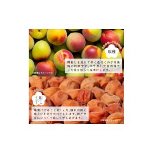ふるさと納税 加工品等 梅干 和歌山県 印南町...の詳細画像5