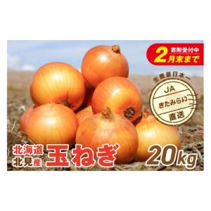 ふるさと納税 野菜類 玉ねぎ 北海道 北見市 ＼2／28で受付終了 ／ 2026年3月中お届け JAきたみらい産 玉ねぎ Lサイズ 20kg ( タマネギ たまねぎ 野菜 ) 210-00…