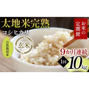 ふるさと納税 玄米 福島県 須賀川市 先行予約...の詳細画像1