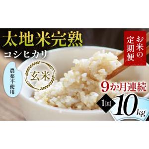 ふるさと納税 玄米 福島県 須賀川市 先行予約 お米の定期便 農薬不使用米 太地米完熟 こしひかり 玄米10kg×9か月連続 ブランド米 お米 人気 F7X-0746