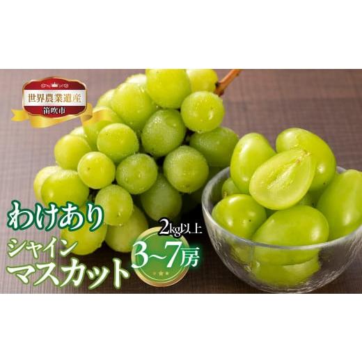 ふるさと納税 ぶどう マスカット 山梨県 笛吹市 山梨県笛吹市産　わけありシャインマスカット　2kg...