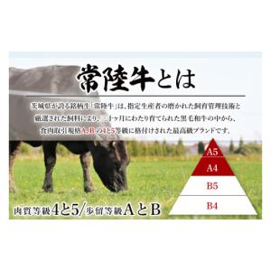 ふるさと納税 牛肉 ステーキ 茨城県 阿見町 ...の詳細画像3