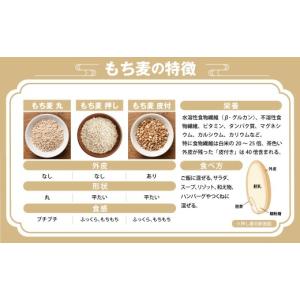 ふるさと納税 雑穀 熊本県 相良村 プチプチ ...の詳細画像4