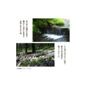 ふるさと納税 野菜類 きのこ 鹿児島県 曽於市...の詳細画像3