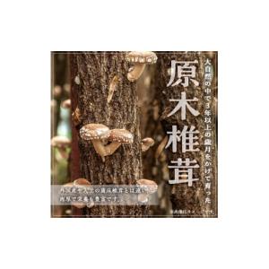ふるさと納税 野菜類 きのこ 鹿児島県 曽於市...の詳細画像4