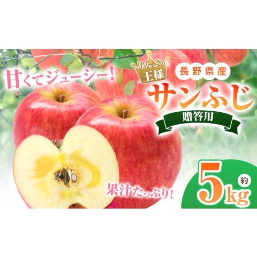 ふるさと納税 りんご 長野県 松川村 贈答用 サンふじ 5kg｜ 北條農園 リンゴ りんご 林檎 果...