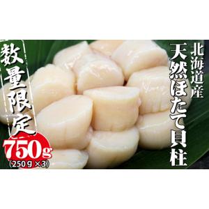 ふるさと納税 魚貝類 ホタテ 北海道 寿都町 ちょっと訳アリ（小粒） 750g 北海道産天然お刺身ほたて（YS047）