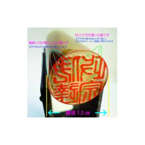 ふるさと納税 文房具・玩具 千葉県 横芝光町 ...の詳細画像4