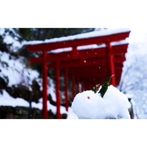 ふるさと納税 金工品 島根県 安来市 安来市純...の詳細画像4
