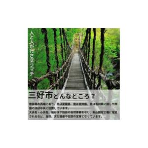 ふるさと納税 お茶類 徳島県 三好市 麦茶 2...の詳細画像4