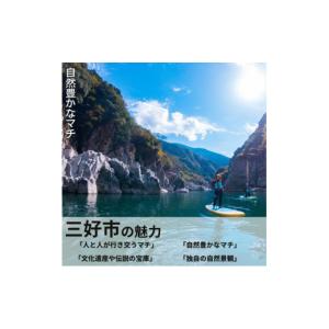 ふるさと納税 お茶類 徳島県 三好市 麦茶 G...の詳細画像5