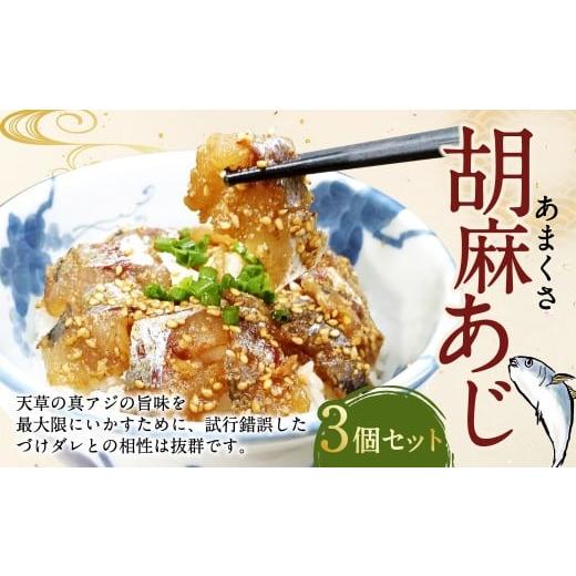 ふるさと納税 魚貝類 熊本県 上天草市 あまくさ胡麻あじ 3個セット 約80g×3個 合計約240g...