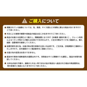 ふるさと納税 電化製品 神奈川県 横浜市 フラ...の詳細画像5