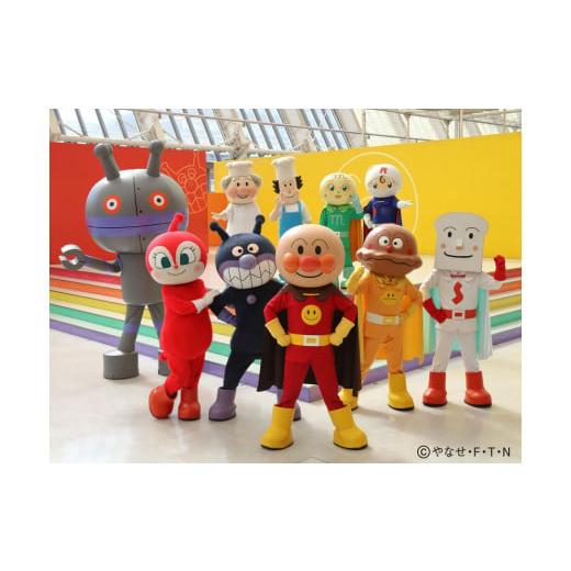 ふるさと納税 入場券・優待券 福岡県 福岡市  3枚セット 福岡アンパンマンこどもミュージアムinモ...