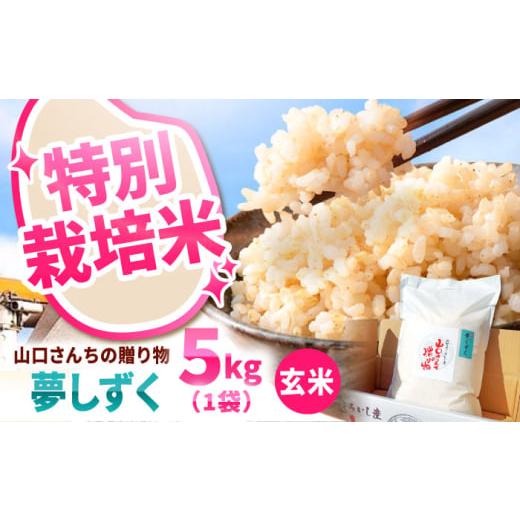 ふるさと納税 玄米 佐賀県 白石町  令和7年10月以降順次発送 令和7年度産 特別栽培米 夢しずく...