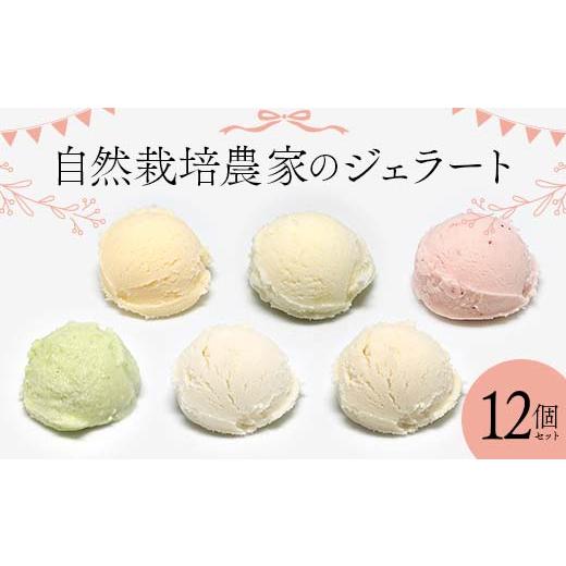 ふるさと納税 りんご 福島県 須賀川市 自然栽培農家のジェラート 12個セット ジェラート デザート...