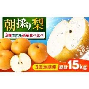 ふるさと納税 梨 長崎県 大村市 3回定期便 朝採り旬の梨 食べ比べ 約5kg／1回 梨定期便 フルーツ定期便 梨 ナシ なし フルーツ 果物 果物定期便 ／ 大村市 ／…