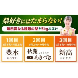 ふるさと納税 梨 長崎県 大村市 3回定期便 ...の詳細画像2
