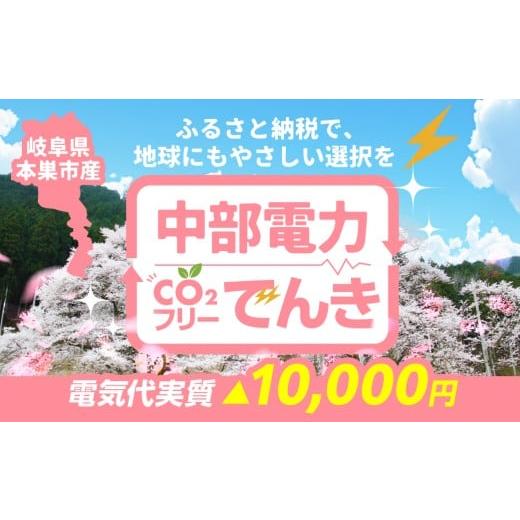 ふるさと納税 イベントやチケット等 岐阜県 本巣市 本巣市産 CO2 フリーでんき 40,000円コ...