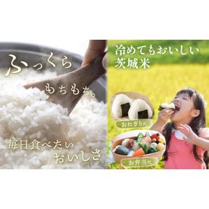 ふるさと納税 米 コシヒカリ 茨城県 境町 4...の詳細画像3