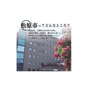 ふるさと納税 ファッション 靴 大阪府 松原市...の詳細画像5