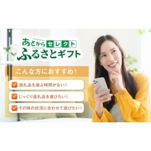 ふるさと納税 カタログ 長崎県 波佐見町 あと...の詳細画像2