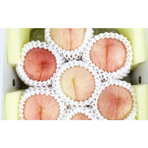 ふるさと納税 もも 岡山県 美咲町 岡山の白桃 約2kg 2026年7月下旬-8月上旬発送予定 ／ ...