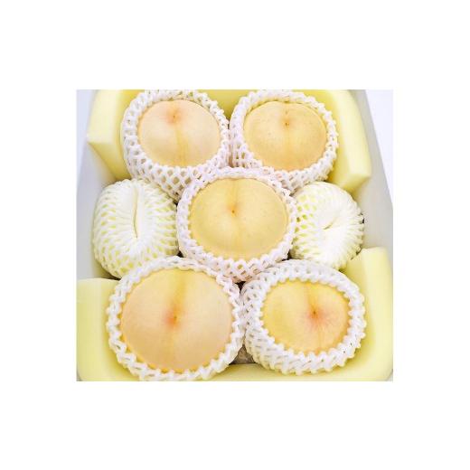 ふるさと納税 もも 岡山県 美咲町 岡山県美咲町産 桃 おかやま夢白桃 約2kg 2026年7月下旬...