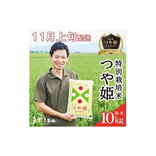ふるさと納税 米 つや姫 山形県 酒田市 11月上旬配送/令和7年産 精米 つや姫マイスターが作った...