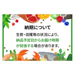 ふるさと納税 米 あきたこまち 秋田県 大仙市...の詳細画像2