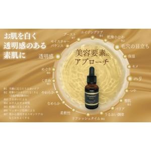 ふるさと納税 化粧水・乳液 美容液・クリーム ...の詳細画像4