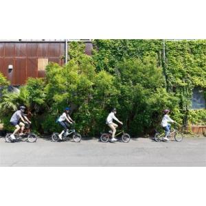 ふるさと納税 自転車 折りたたみ自転車 香川県...の詳細画像3