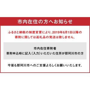 ふるさと納税 人形 福岡県 那珂川市 NEO ...の詳細画像3
