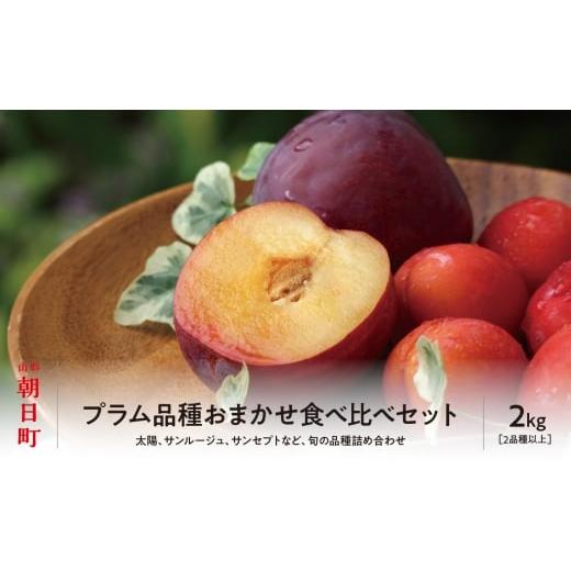 ふるさと納税 果物類 山形県 朝日町  先行予約 プラム おまかせ 2種以上 食べ比べ 2kg 大玉...