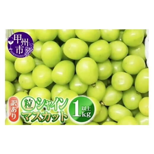 ふるさと納税 ぶどう マスカット 山梨県 甲州市 訳あり 粒シャインマスカット 1.0kg以上 20...