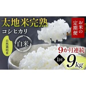 ふるさと納税 米 コシヒカリ 福島県 須賀川市 先行予約 お米の定期便 自然栽培米 太地米完熟 こしひかり 白米9kg×9か月連続 ブランド米 お米 精米 白米 人気…
