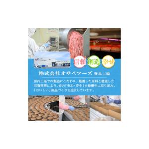 ふるさと納税 肉 ハンバーグ 宮城県 登米市 ...の詳細画像5