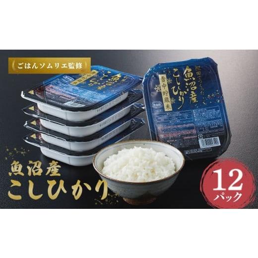 ふるさと納税 米 コシヒカリ 新潟県 小千谷市 魚沼産コシヒカリ 雪中貯蔵米パックご飯 12個セット...