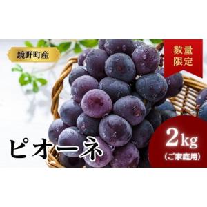 ふるさと納税 ぶどう 岡山県 鏡野町 期間限定...の詳細画像1