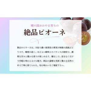 ふるさと納税 ぶどう 岡山県 鏡野町 期間限定...の詳細画像2