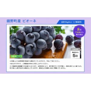 ふるさと納税 ぶどう 岡山県 鏡野町 期間限定...の詳細画像4