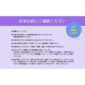 ふるさと納税 ぶどう 岡山県 鏡野町 期間限定...の詳細画像5
