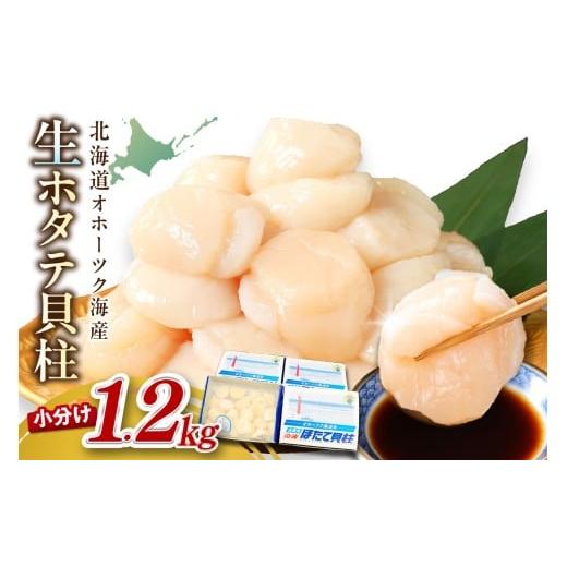 ふるさと納税 魚貝類 ホタテ 北海道 北見市  2025年12月発送 北海道オホーツク海産 ホタテ貝...