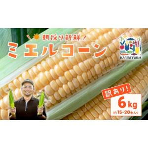 ふるさと納税 とうもろこし 茨城県 下妻市 訳...の詳細画像1