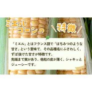 ふるさと納税 とうもろこし 茨城県 下妻市 訳...の詳細画像2